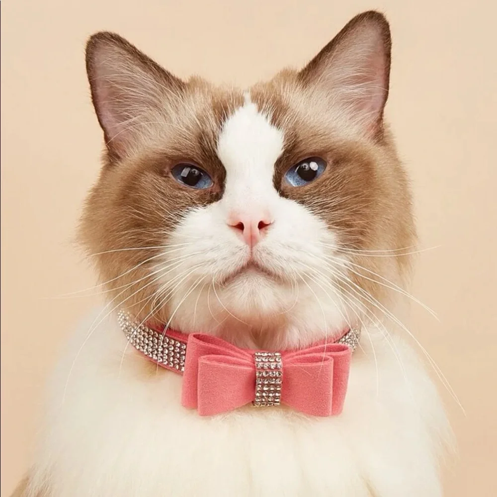 Rhinestone Decor Pet Collar 🐈